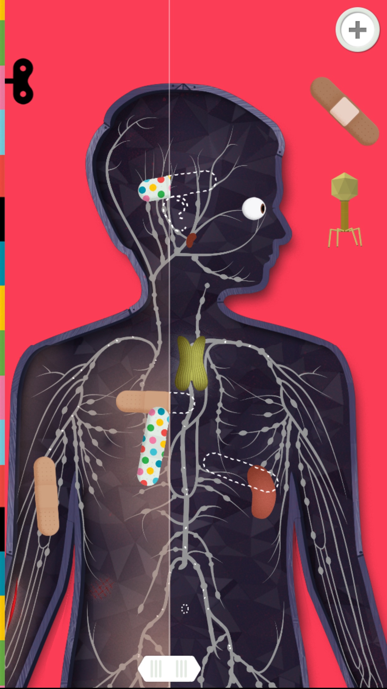 Screenshot do app O Corpo Humano por Tinybop