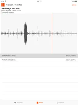Timecode Audio Recorder screenshot 5
