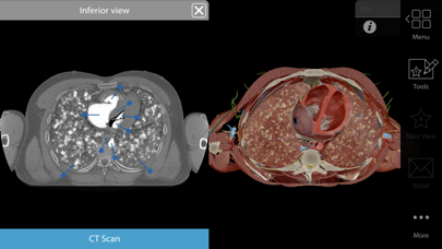 Physiology & Pathology Screenshot