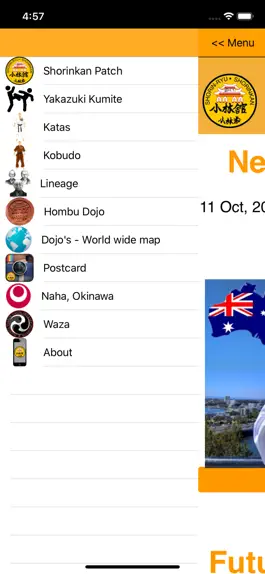 Game screenshot Shorin-Ryu Shorinkan Pro hack