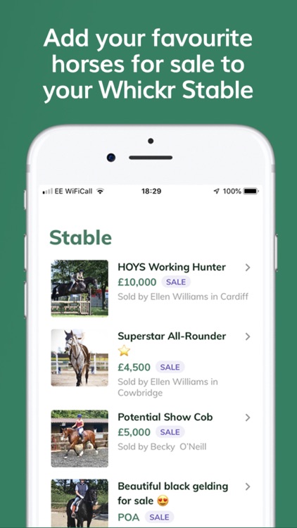 Whickr Buying & Selling Horses screenshot-4