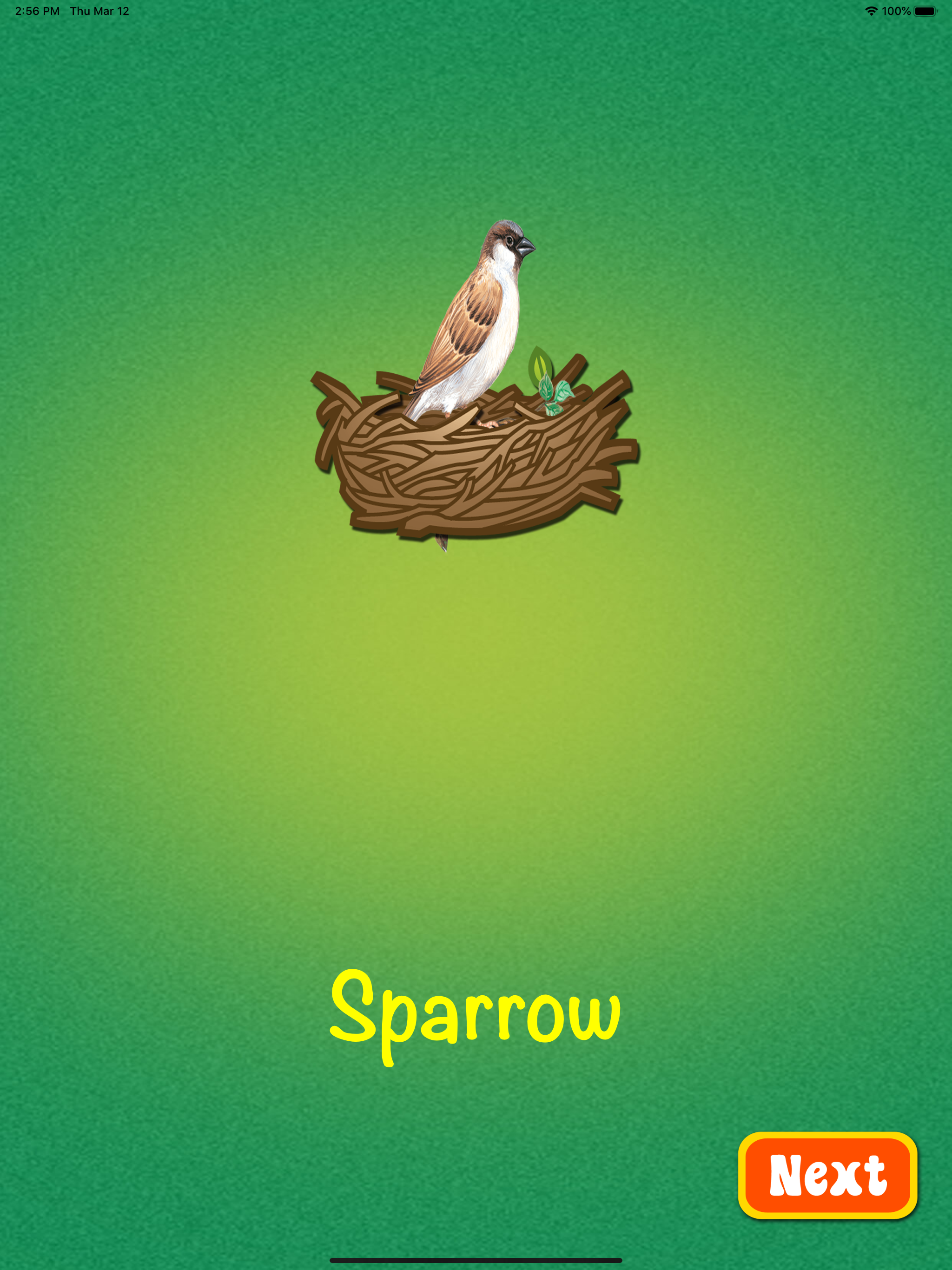 Learn about Birds