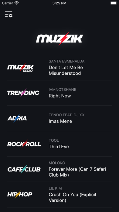 Screenshot #2 pour MUZZIK RADIO