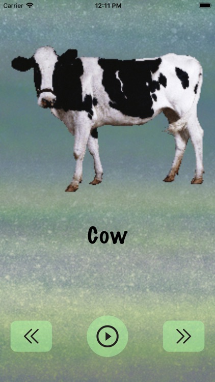 Animal Learning Time screenshot-3