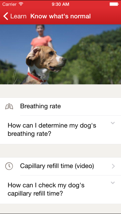Pet First Aid: Screenshot
