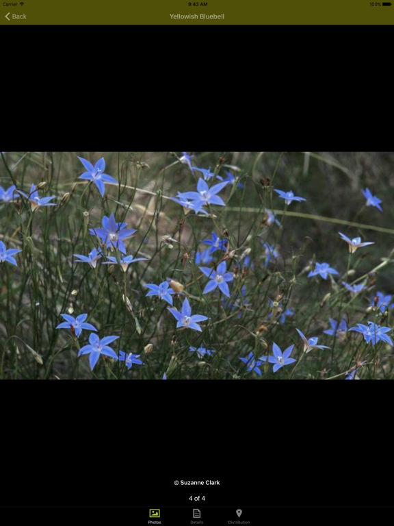 Screenshot #5 pour Grasslands