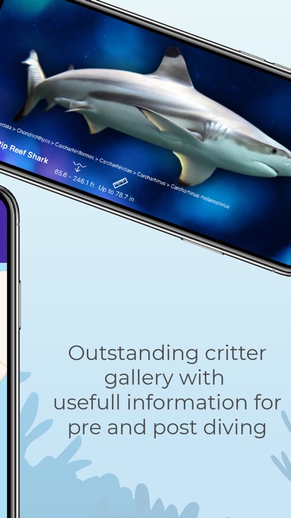 Scuba FIC - Reef Fish ID App screenshot-4