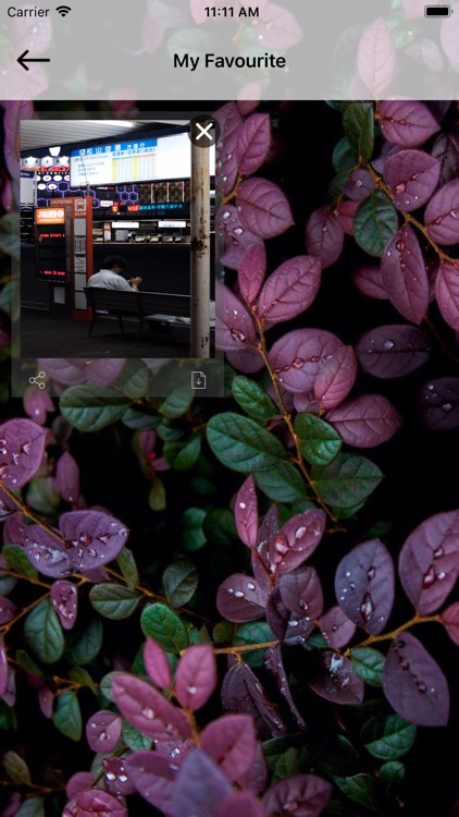 ShoWallies screenshot-4