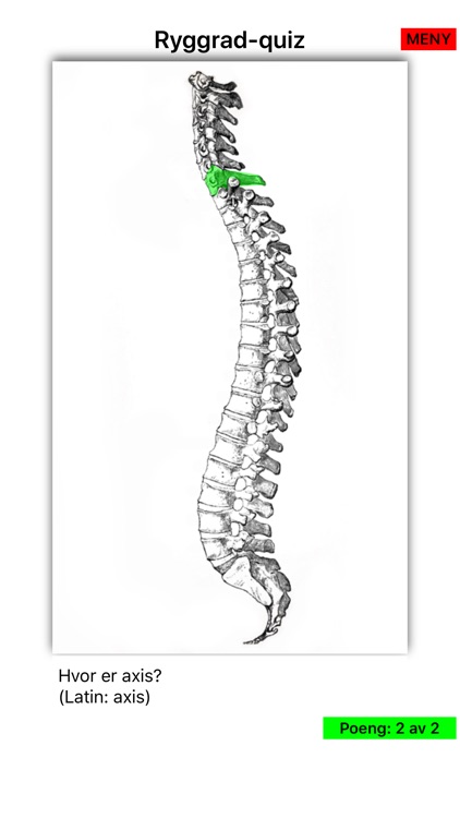 Anatomi screenshot-8