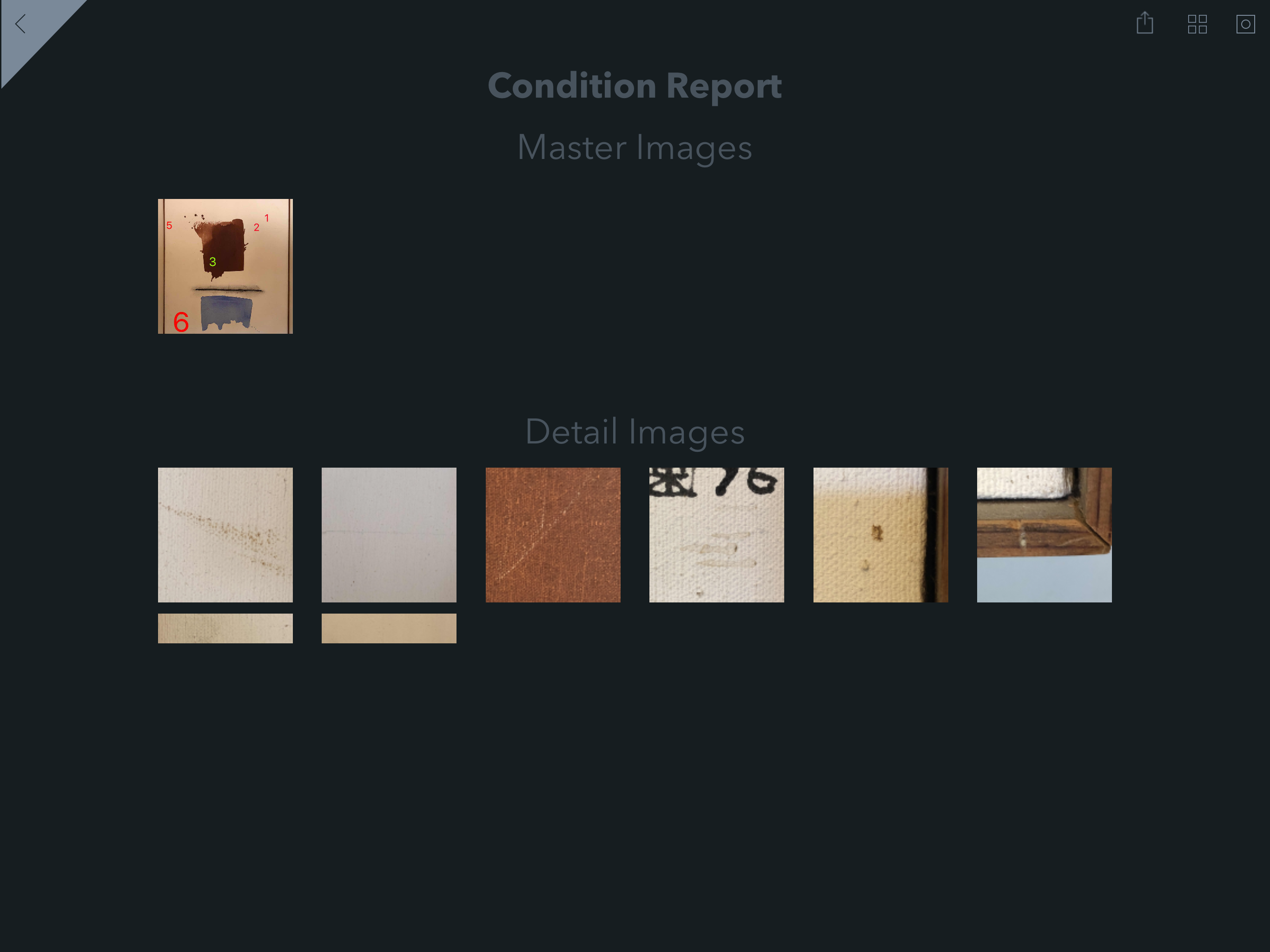 exhibii screenshot 13