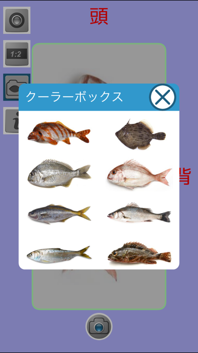 教えて!魚のおすすめ画像3