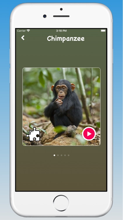 Animal Sounds, Animal Language screenshot-3