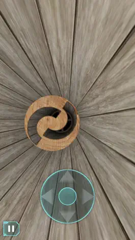 Game screenshot Speed Tube 3D apk