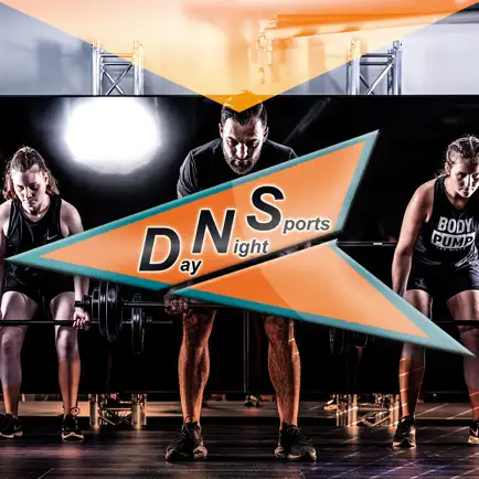 Day Night Sports Читы