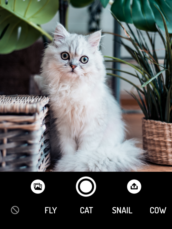 Screenshot #4 pour How do Animals see? - Camera