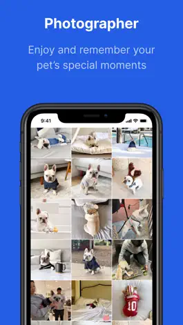 Game screenshot Everpet apk