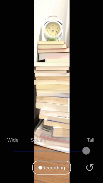 Flex Camera screenshot