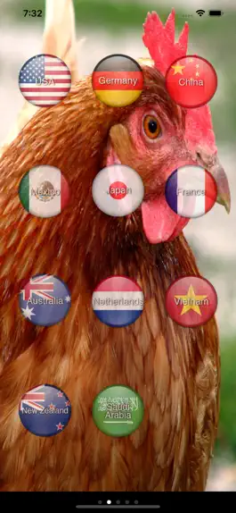 Game screenshot Animal Translate apk