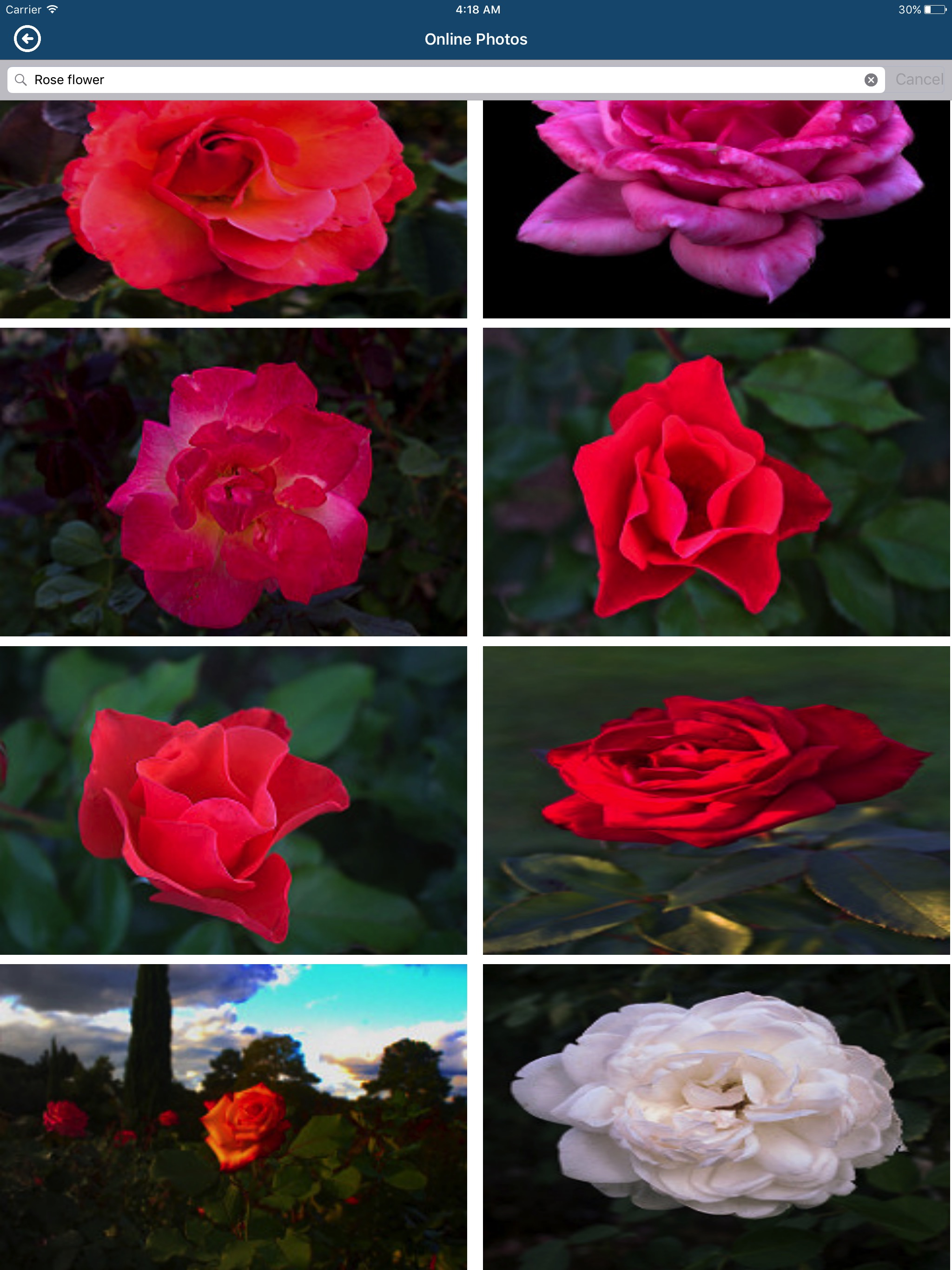 Urdu Poetry and Text on Photos