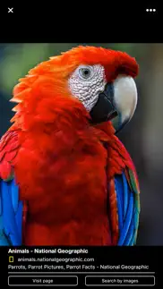 wizor – search by picture problems & solutions and troubleshooting guide - 2