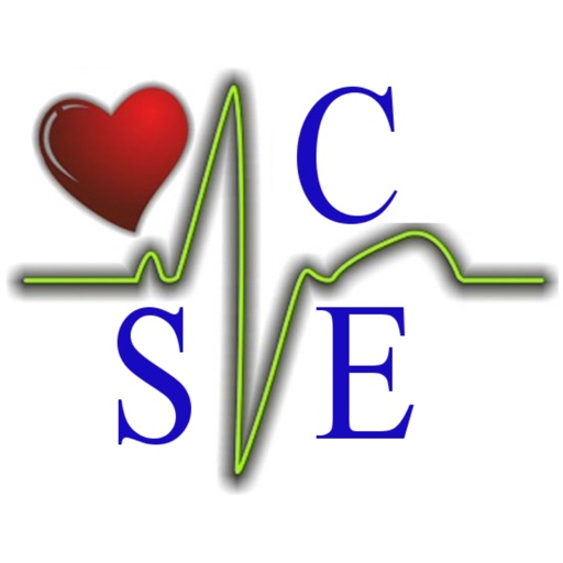 CSE Salvami