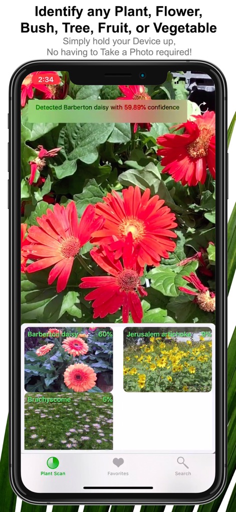 Plant Scan - Identification - Education App | MWM