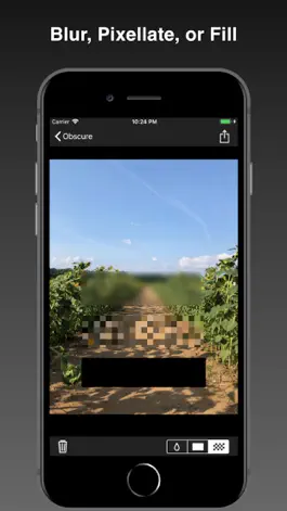 Game screenshot Obscure - share safely mod apk