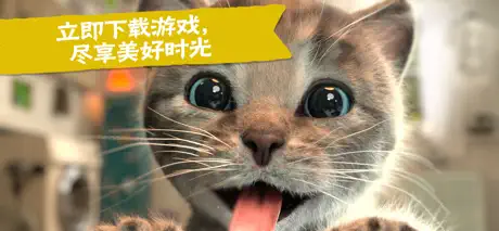 Little Kitten  小猫—猫猫冒险游戏