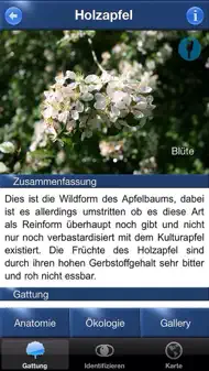 Baum Id Deutschland iphone bilder 3