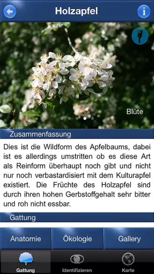 Screenshot von Baum Id Deutschland auf dem iPhone 4