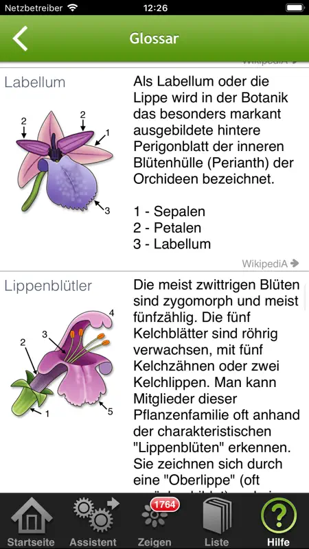 iBlumen screenshot 7 of 8