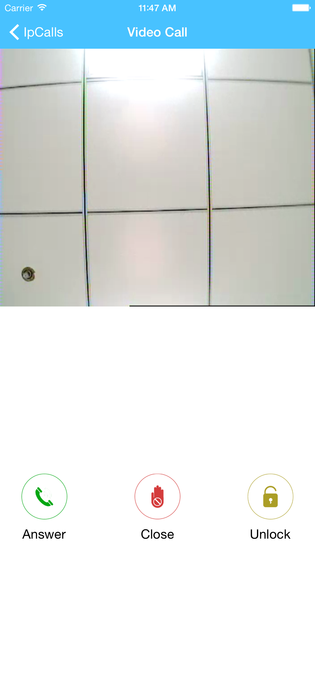CloudIpCalls