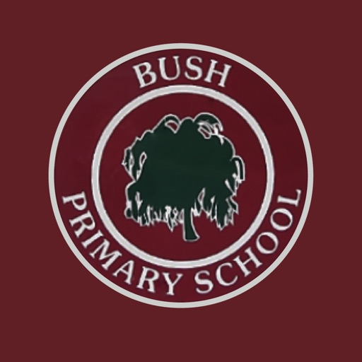 Bush PS