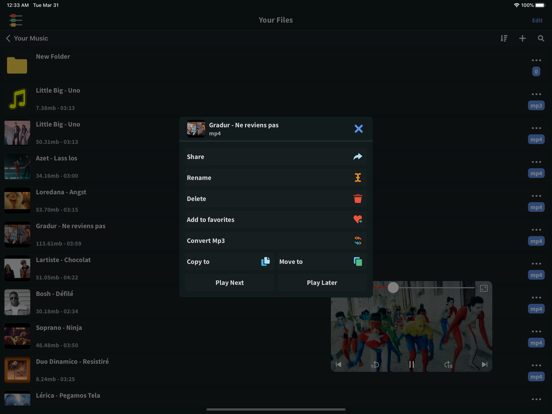 Screenshot #6 pour FoxFM - Offline Video Player
