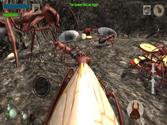 Screenshot #4 pour Ant Simulation 3D Full