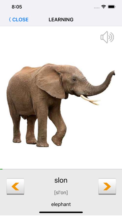 Learn Czech words with ST