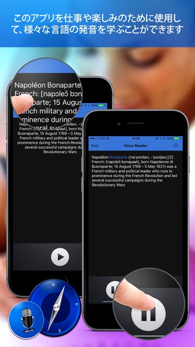 Voice Reader For Web Pro screenshot1