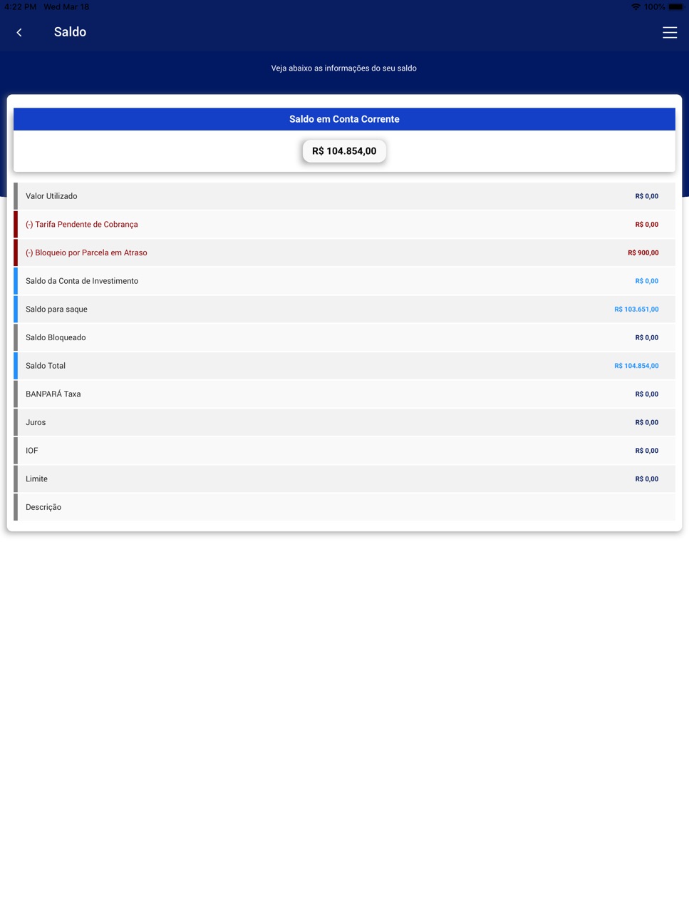 iPad screenshot