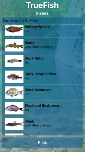 TrueFish screenshot 2