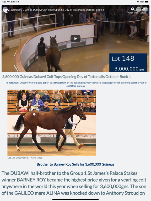 We Horse Racing iPad screenshot 3 - Entertainment app