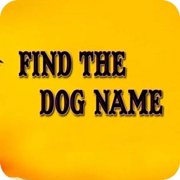 Find The Dog Name