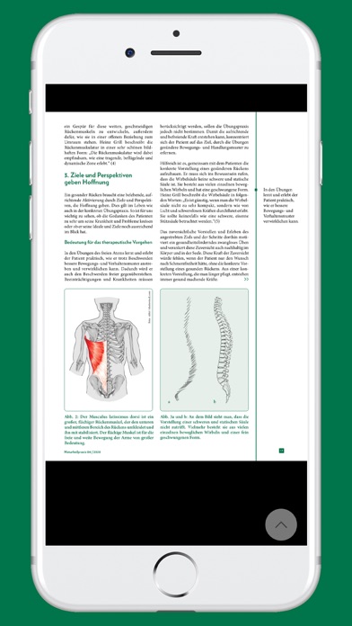 Naturheilpraxis Zeitschrift Screenshot