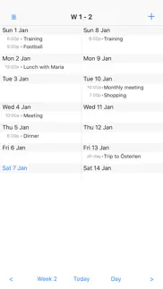 month view calendar iphone screenshot 3