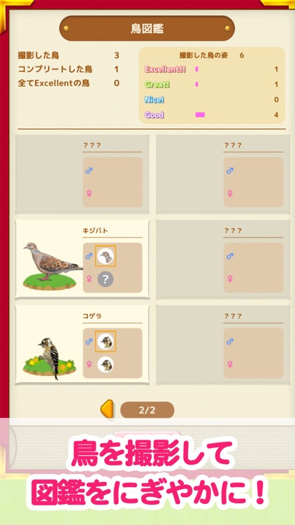 鳥マスター！ screenshot-4