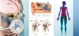 Game screenshot Anatomy & Physiology hack
