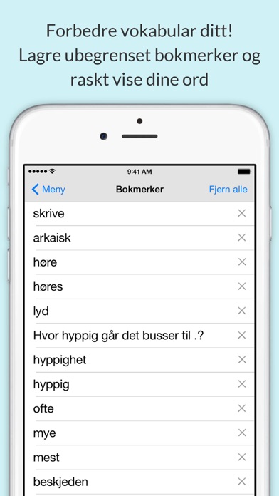 Norsk Ordbok og Synonymer Screenshot