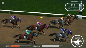 Photo Finish Horse Racing screenshot