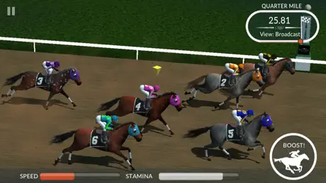 Photo Finish Horse Racing