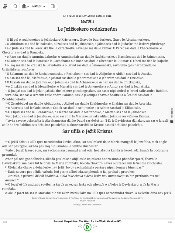 Screenshot #5 pour Romani Bibles
