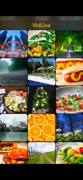 Game screenshot VidLive mod apk